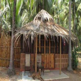 The Other Side Of Goa In Pomburpa, Goa 2